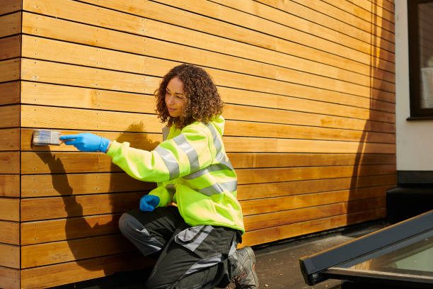 Affordable Siding Repair and Maintenance Services in Avondale, LA
